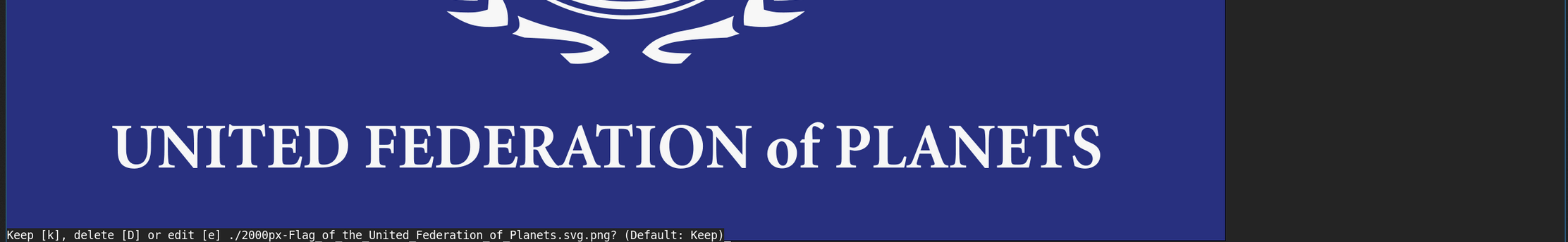 Screenshot: Shows a terminal displaying the lower part of the flag for the United Federation of Planets, along the question of whether to keep it.